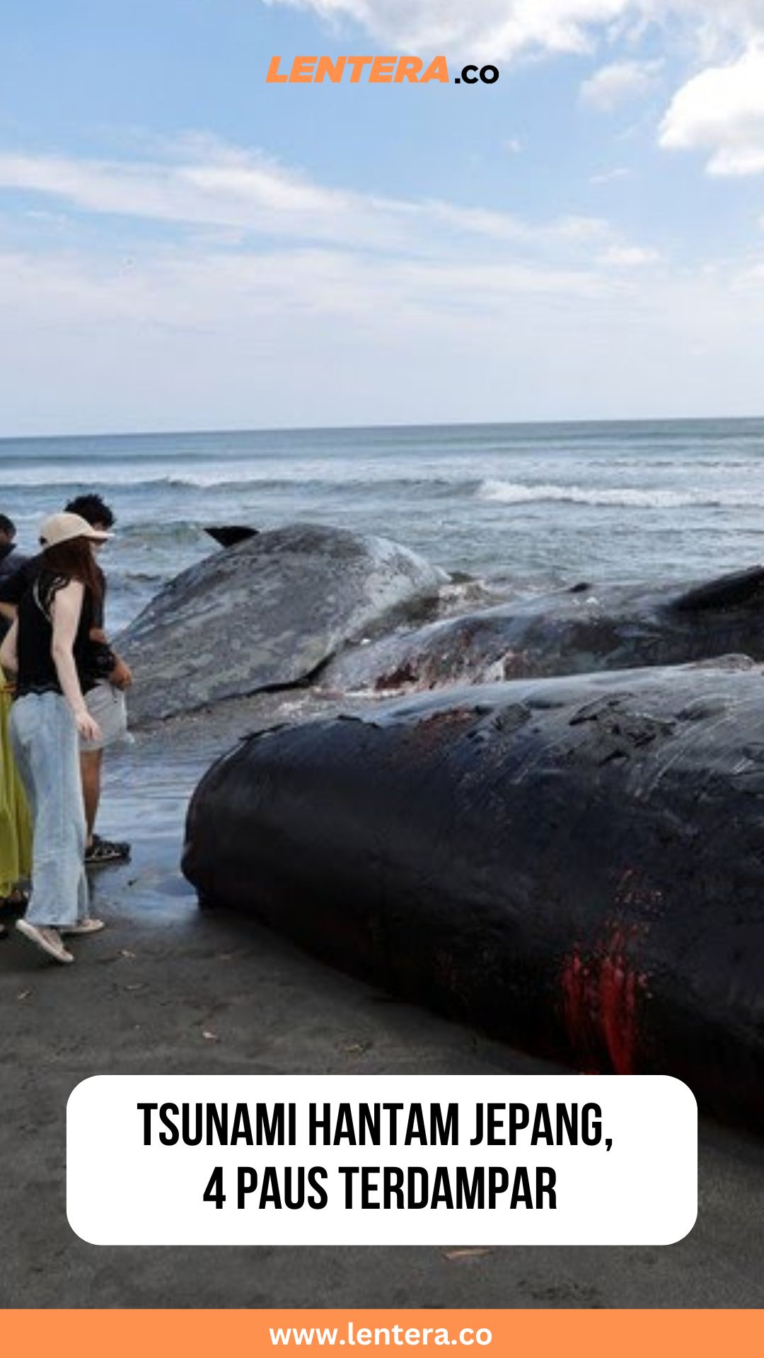 Tsunami Hantam Jepang, 4 Paus Terdampar