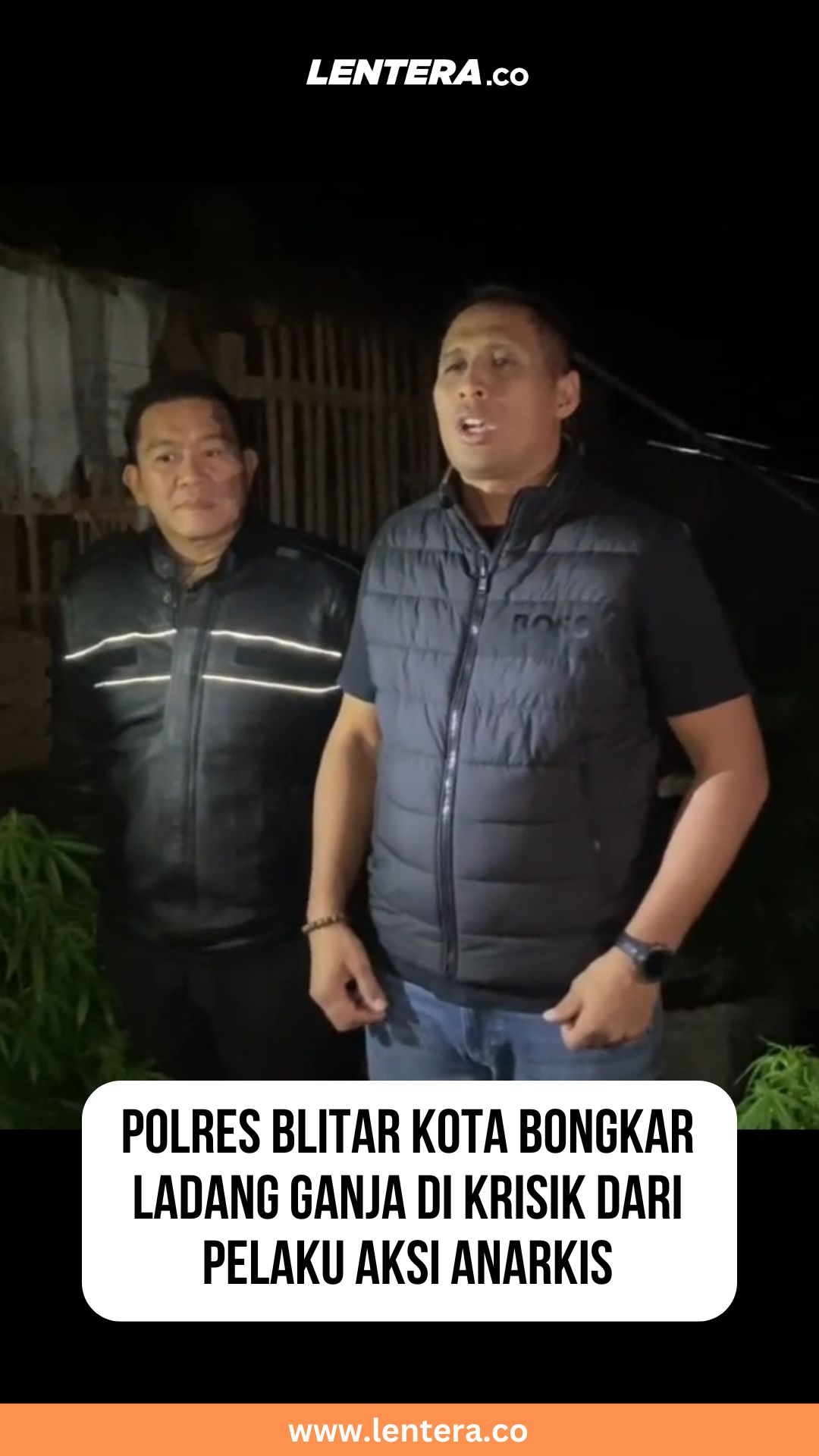 Polres Blitar Kota Bongkar Ladang Ganja di Krisik dari Pelaku Aksi Anarkis